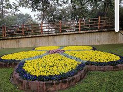 -广州莲花山旅游区