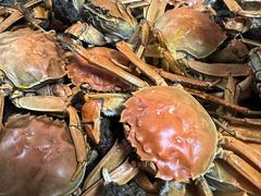 -天鹅到家·保姆月嫂育儿嫂(天河店)