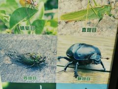 -上海昆虫博物馆