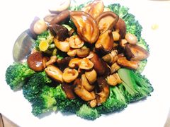 鲍汁双菇西兰花-翅爷家煲仔翅