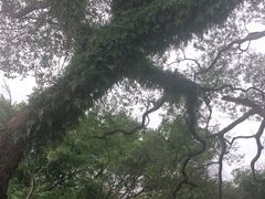 -乌山风景区
