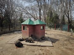 -青藏高原野生动物园