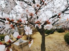 -帽儿山国家森林公园