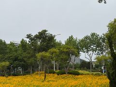 -青岛东方影都融创水世界