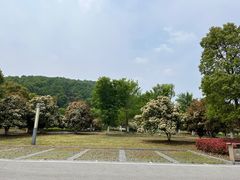 -南京市无想山景区