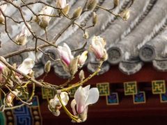 -北京颐和宾馆