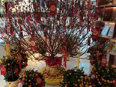 -香港皇家太平洋酒店