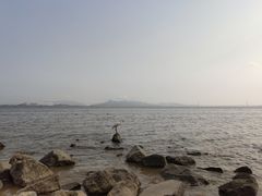 -深圳湾公园(南山区)