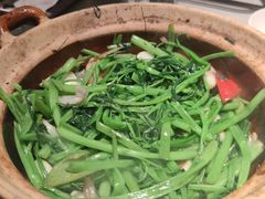 虾酱嗜通心菜-煲煲好(朝阳门店)