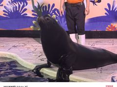 -太平洋海底世界