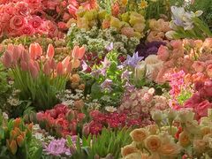 -亭亭鲜花店(中山北路店)