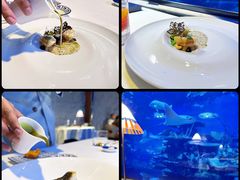 -迪拜帆船酒店海底餐厅