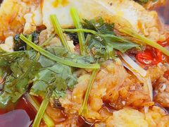 -煲来饱去冷水鱼