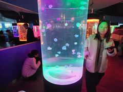 -苏州海洋馆