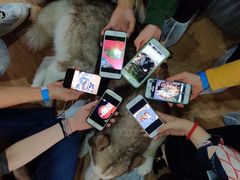 -Husky Go! 哈士奇体验馆·宠物咖啡厅狗咖