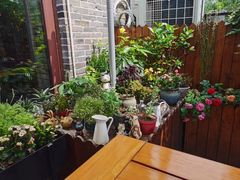 -IFIF 如果花園(宽厚里店)