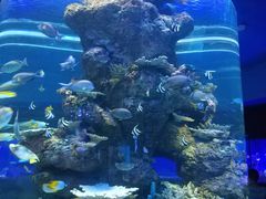 -成都浩海立方海洋公园