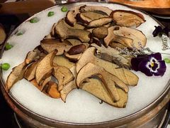 见手青-芸山季·云南山珍菌火锅(人民广场来福士店)