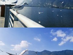 -海埂大坝