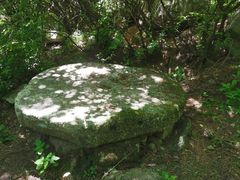 -秦岭风景区