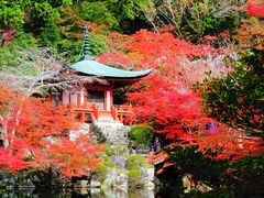 -醍醐寺