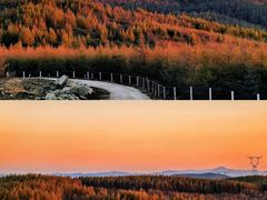 -塞罕坝国家级自然保护区