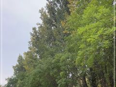 -蟠龙山长城景区