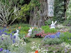 -深圳仙湖植物园