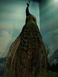 -酷嗒动物文化乐园(cutezoo西溪乐天城店)