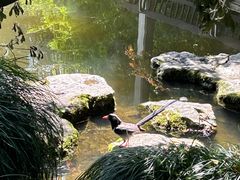 -杭州植物园