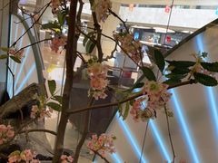 -望湘园·小雅(德基店)