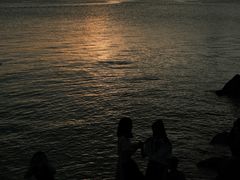 -宝安西湾红树林湿地公园