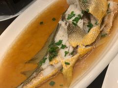 大黄鱼-501號台州海鲜餐厅(海创园店)