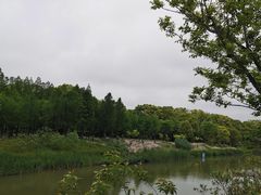 -上海长兴岛郊野公园