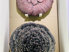 -北京中医药大学-中医药博物馆
