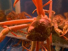 -吉友粥底火锅(方斜路店)