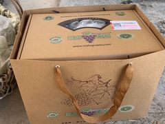 -美家乐农庄·露营·团建(大治路店)