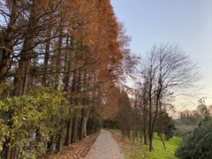 -贵阳市花溪国家城市湿地公园