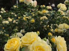 -人民公园(罗湖区)