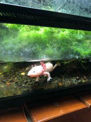 -酷嗒动物文化乐园(cutezoo西溪乐天城店)