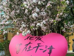 -天津水游城丽筠酒店