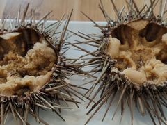 -海胆小馆(东北水饺·春柳店)