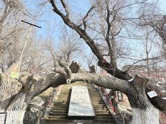 -水磨沟公园