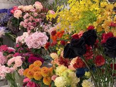 -Flannel Flowers(IFC)