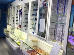 -提一眼镜·蔡司·依视路(小寨店)