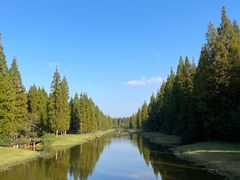 -黄海国家森林公园