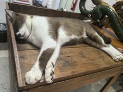 -Kat's Kitchen