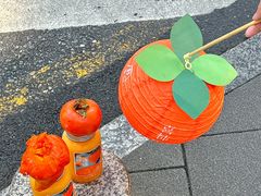 -野萃山·潮汕厚果汁(十亩地店)