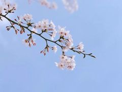 -永乐路-路侧停车场