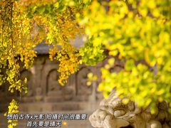 -北京石刻艺术博物馆